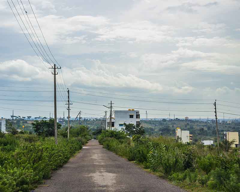 Consultancy Services For Undertaking A National Level Validation Of Identified Agro-Logistics Hubs Under The Proposed Rural Access And Agricultural Marketing Project (RAAMP), World Bank (2019)