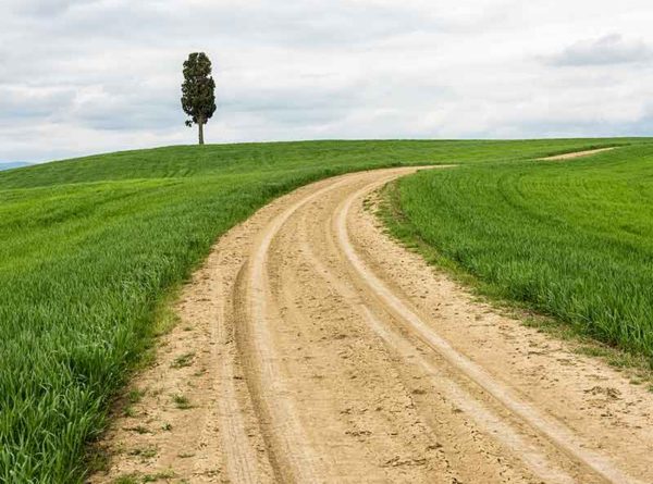 Consultancy Services for the Conduct of Follow-on and Endline Surveys under the Second Rural Access and Agricultural Marketing Project (RAMP 2) in Adamawa, Enugu, Niger and Osun States in Nigeria, French Development Agency and World Bank (2019)