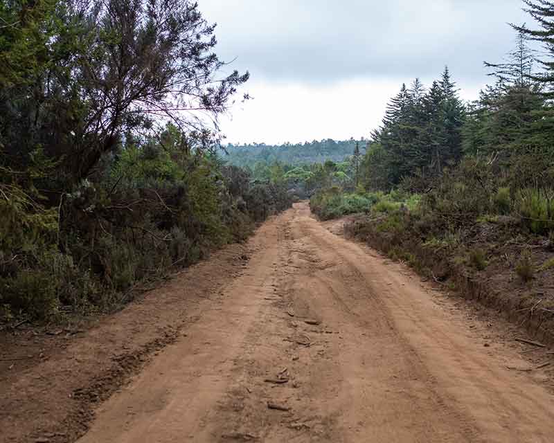 Consultancy Services for the preparation of a Baseline Survey for the Second Rural Access and Mobility Project in Adamawa, Enugu, Niger and Osun States of Nigeria, French Development Agency (2012)